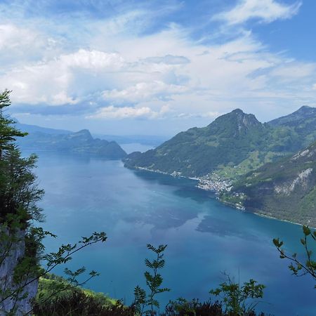 Solohike Mountainview Apartment Seelisberg Luaran gambar