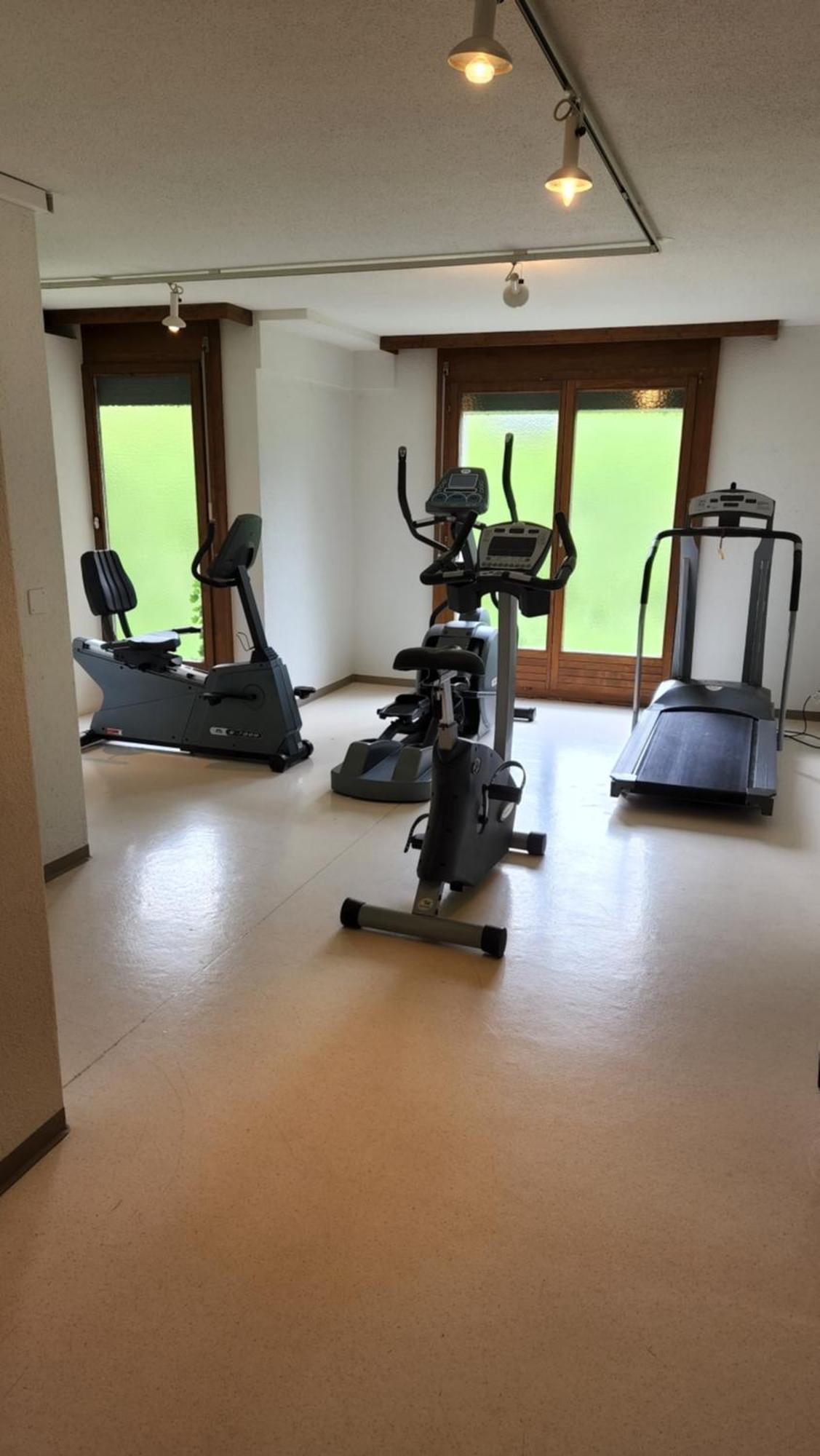 Solohike Mountainview Apartment Seelisberg Luaran gambar